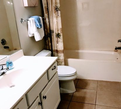 Guest bathroom