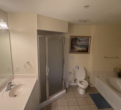 Master Bath