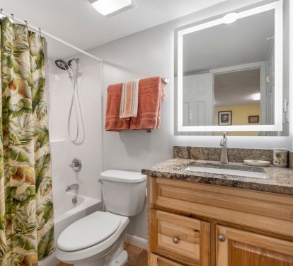 Second bathroom, mirror with defogger.