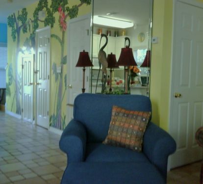 Photo #8