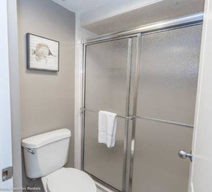 Master Shower
