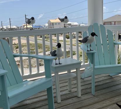 The seagulls know a good deal when they see it!