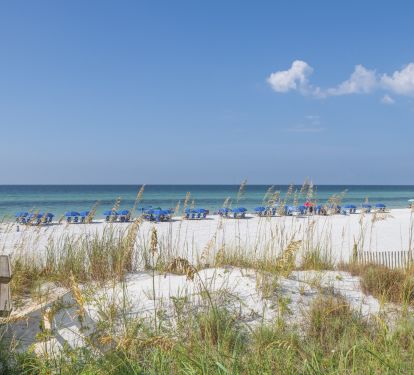 Its 75 steps (&amp; 0 stairs) from the back door to here! Beach service is waiting!