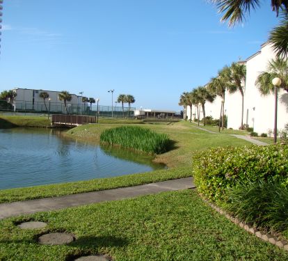 view to the beach 