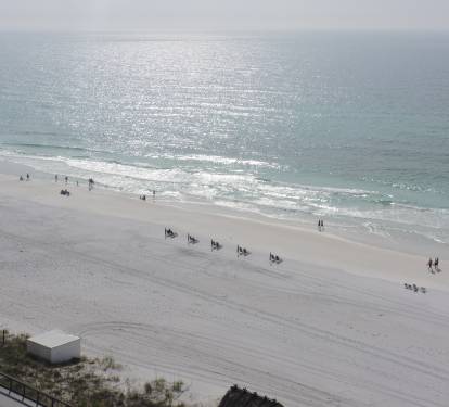 Morning View from the Balcony