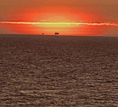 Beautiful sunset to end the day.