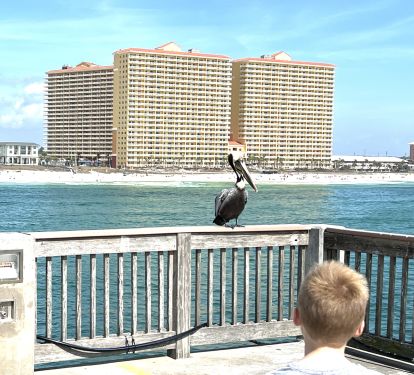 See Calypso from the Pier, and Pelican's too!
