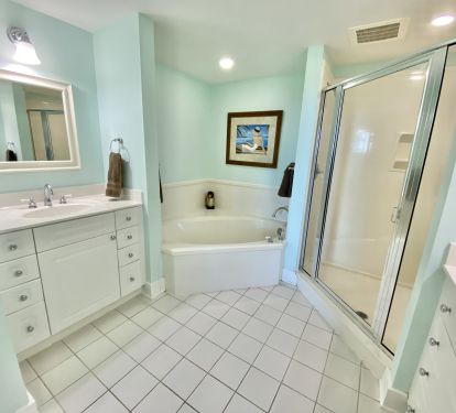 Mater bath with walk-in shower and garden tub.