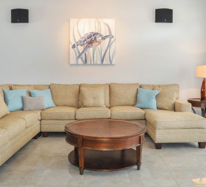 Spacious and light filled family room 