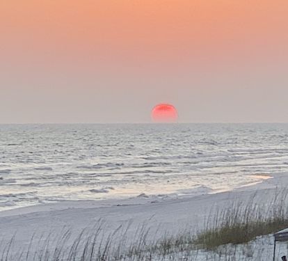 Photo #15