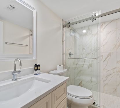 Newly renovated master bath with walk in shower