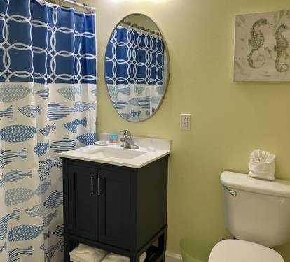 Hall bath with shower/tub combination