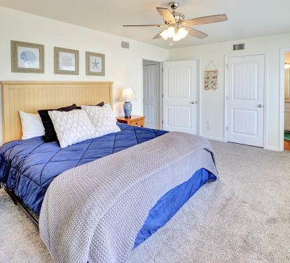 Lower Level Primary Bedroom (King)