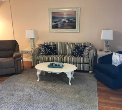Large living room w/fold out couch