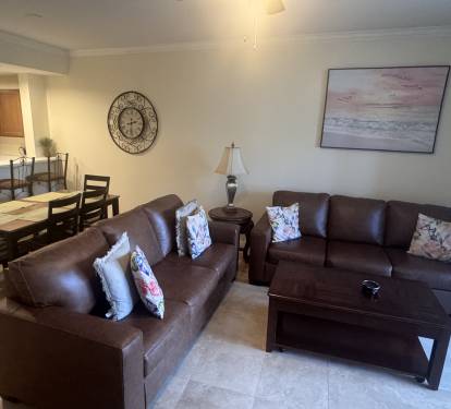 Living room area - Couch &amp; Sofa bed