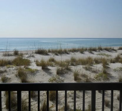 View from Patio