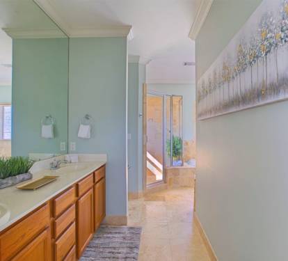 Master bathroom