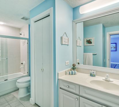 Guest/Hall Bath