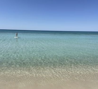 Look at this view with your FREE Beach chair setups at DOLPHIN'S DREAM!