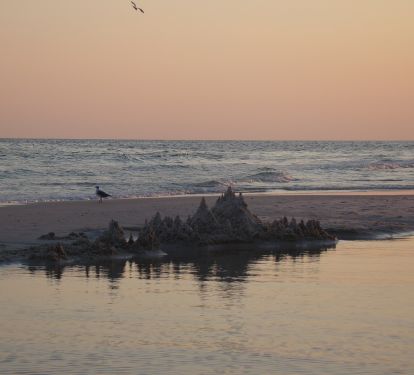 Photo #12