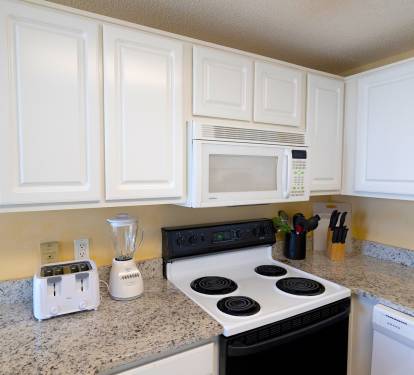 Phoenix X Resort Unit 302 Kitchen