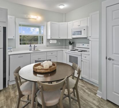 Ground Level Apartment Full Kitchen