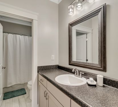 Main Floor Restroom and shower. 
