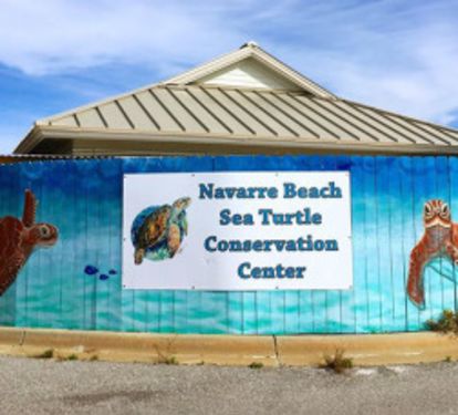Navarre Beach Sea Turtle Conservation Center