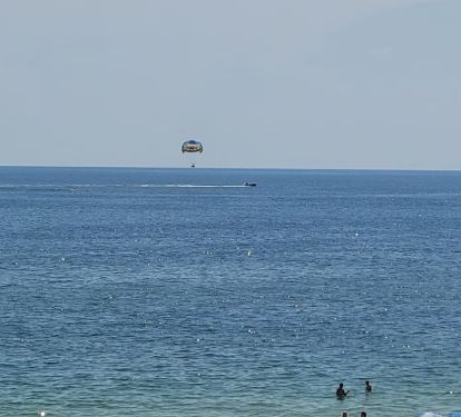 Photo #14
