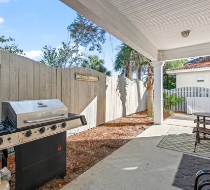 Back porch off the kitchen with NEW propane grill 2024