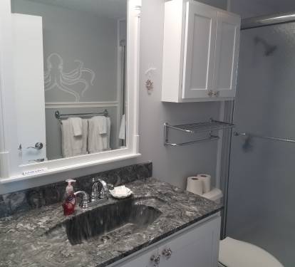 Primary bath with a convenient walk in shower