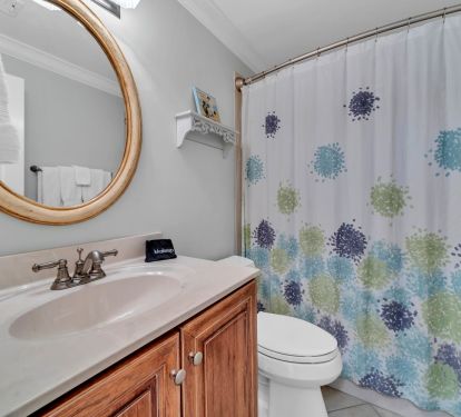 Hall bathroom
