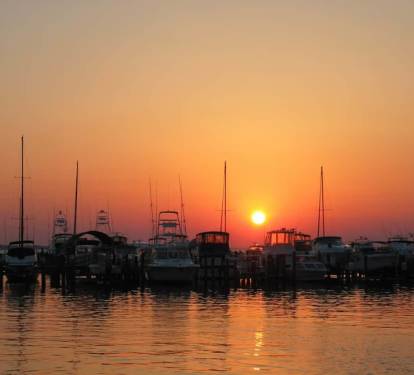 Photo #12