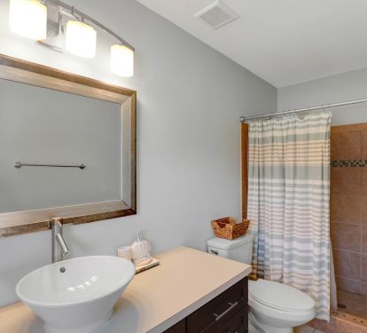 Lower Level Primary En Suite Bathroom