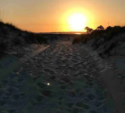 Photo #22