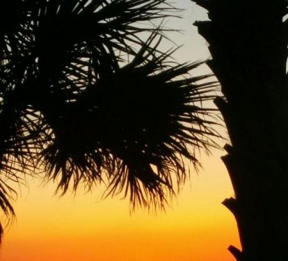 Watch the sunset