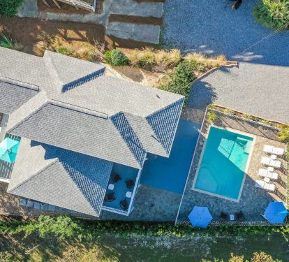 Birds Eye