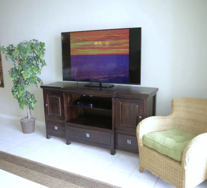 Hi def Roku 55 inch streaming TV.  Bring your streaming accounts!