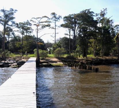 View looking back from the end of the pier