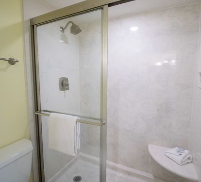 Master shower