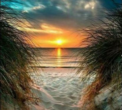 Sunset View