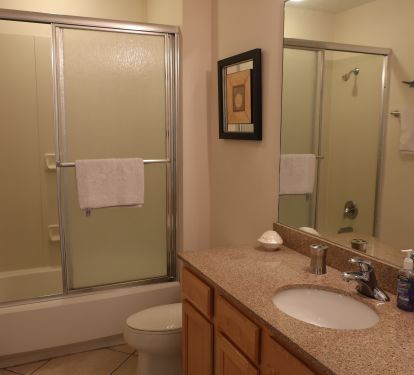 The Second Bathroom