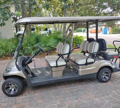 6 person golf cart discounted rental