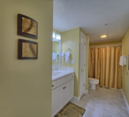 Guest bath with shower/tub combination!