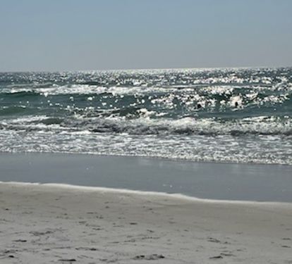 Photo #4