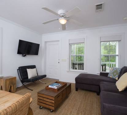 Pull out sofa and flat screen TV in living area