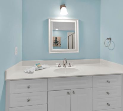 Guest Vanity