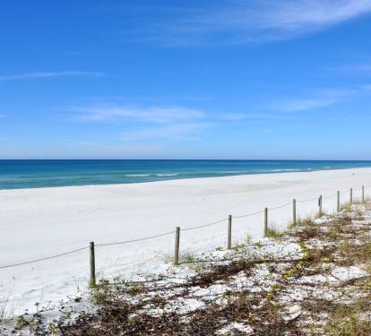 This is just one reason why we call it the Emerald Coast.