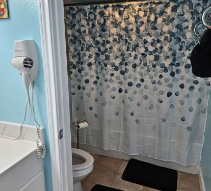 Master bath separate shower and tub
