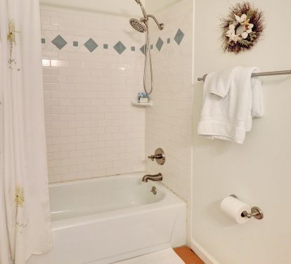 Lower Level Full Bathroom